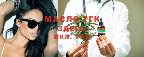 стафф Каменка