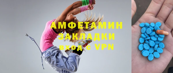 мдпв Каменногорск