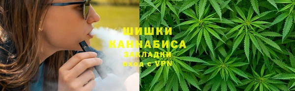 ГАЛЛЮЦИНОГЕННЫЕ ГРИБЫ Волосово